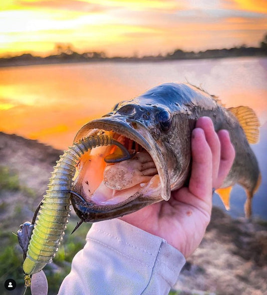 Expert Guide to Summer Bass Fishing - Angler's Pro Tackle & Outdoors