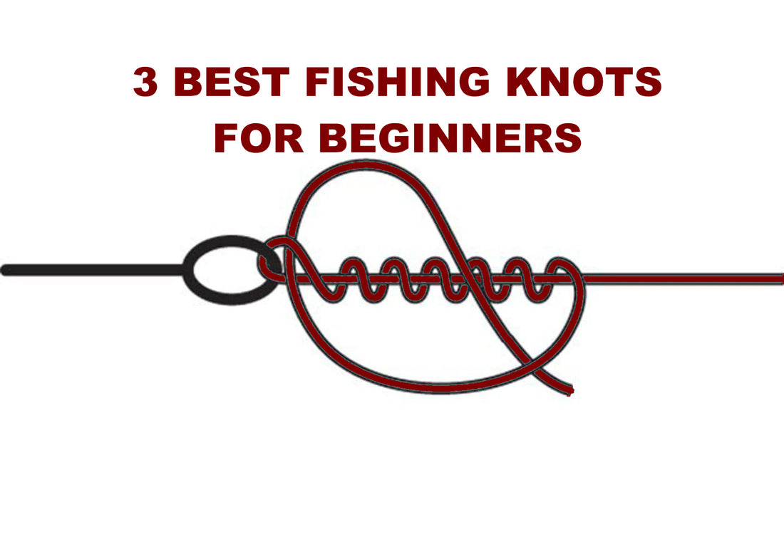 3 Best Fishing Knots For Beginners