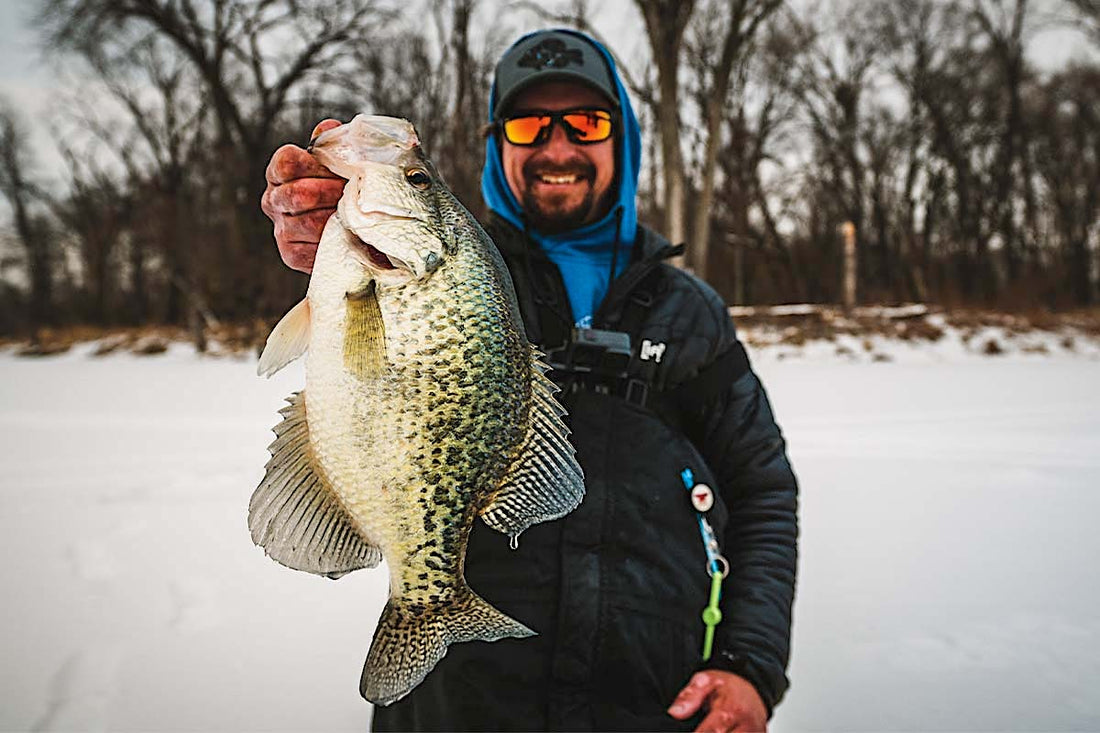 Freedom Baitz: Veteran-Owned, USA-Made Soft Plastics Built to Catch More Fish - Angler's Pro Tackle & Outdoors