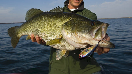 Texas Fishing Reports - Get The Latest Updates on Where The Fish Are Biting! - Angler's Pro Tackle & Outdoors