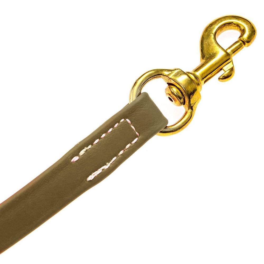 Dogline Viper Biothane Long Line 15 ft Lead with Brass Hardware