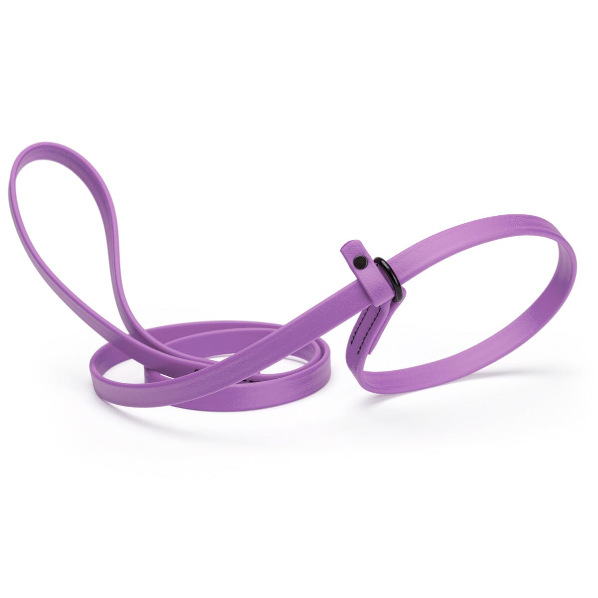 Dogline Biothane Slip Lead