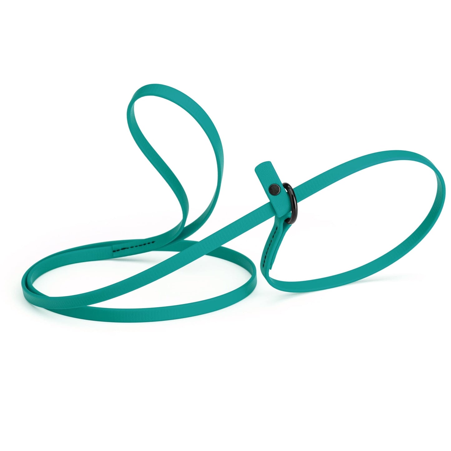 Dogline Biothane Slip Lead