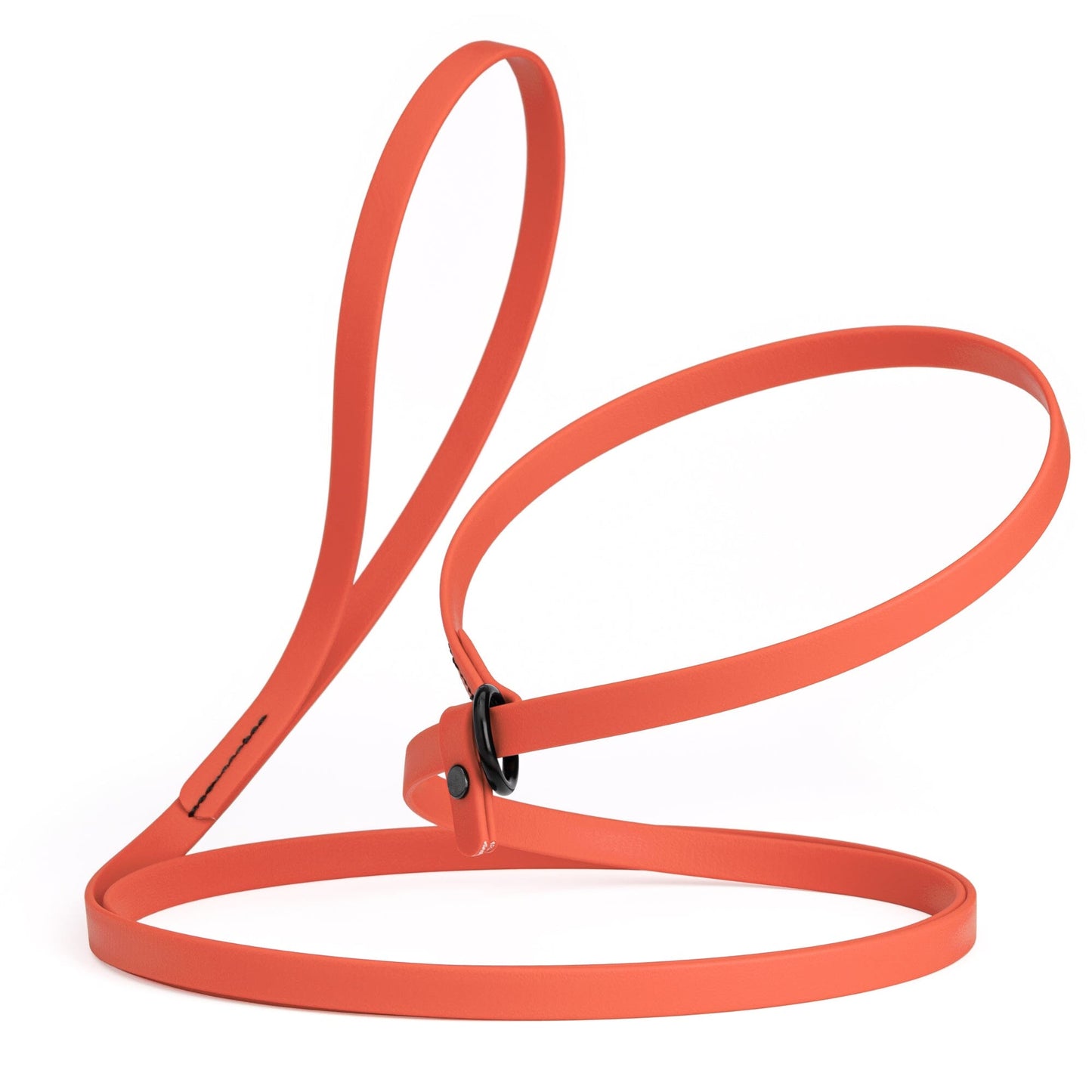 Dogline Biothane Slip Lead