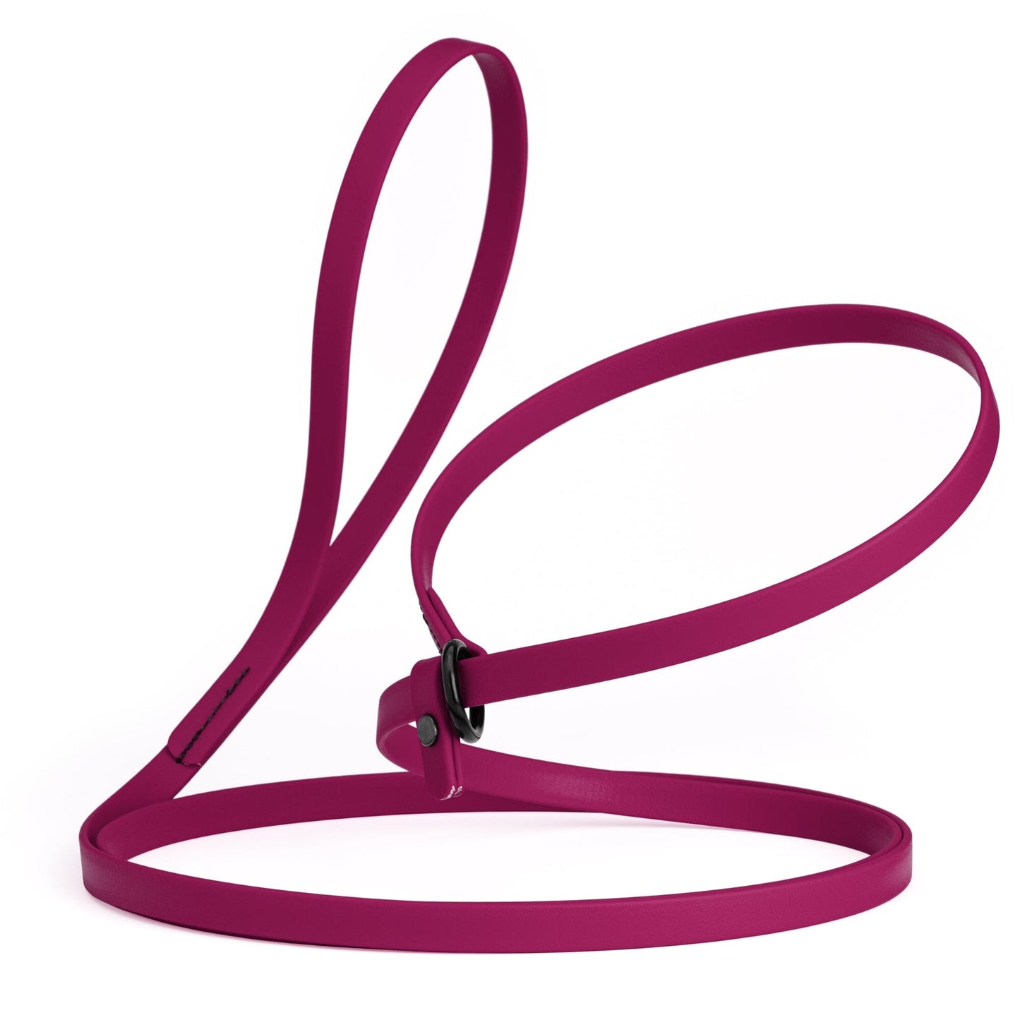 Dogline Biothane Slip Lead