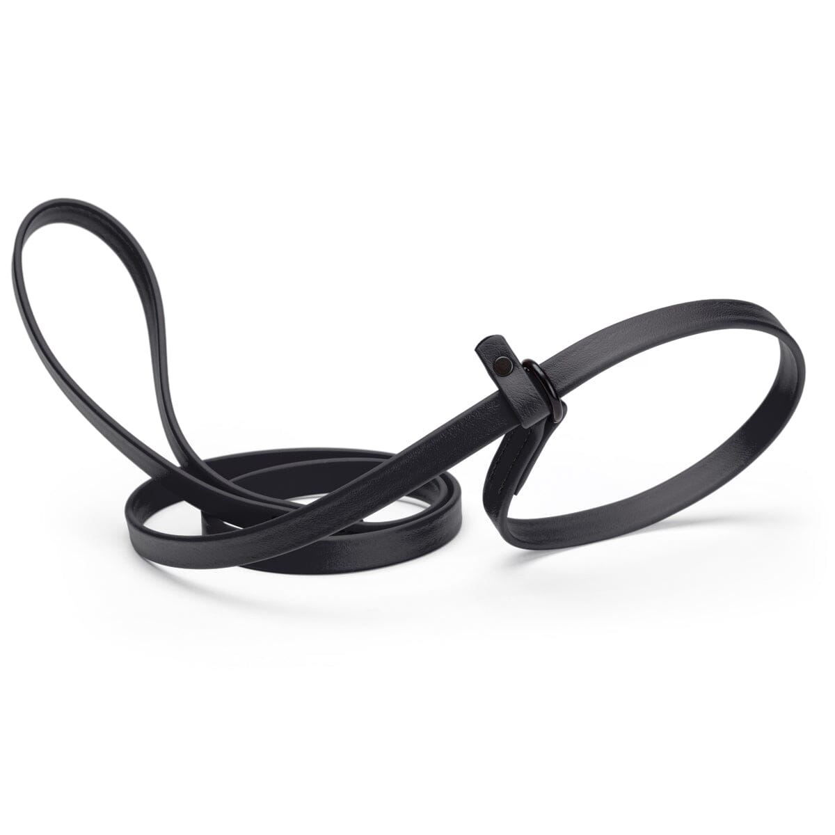 Dogline Biothane Slip Lead