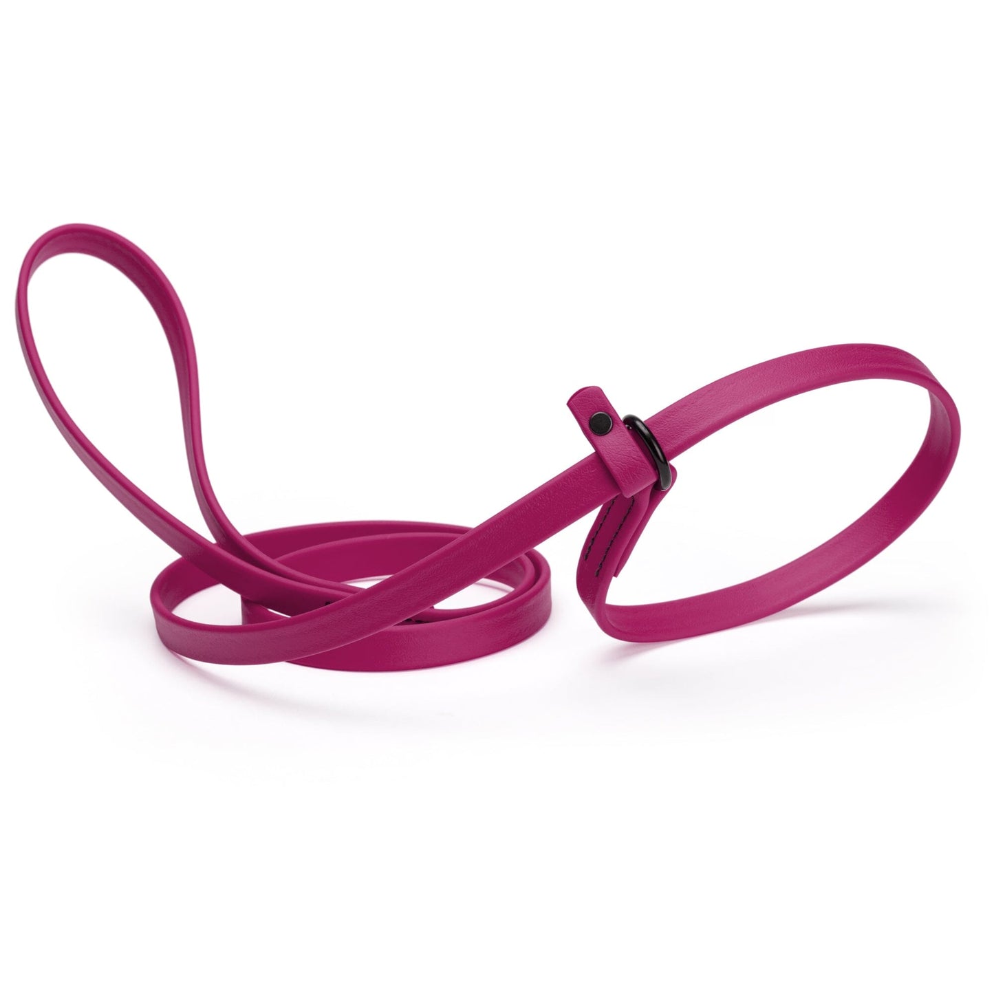 Dogline Biothane Slip Lead