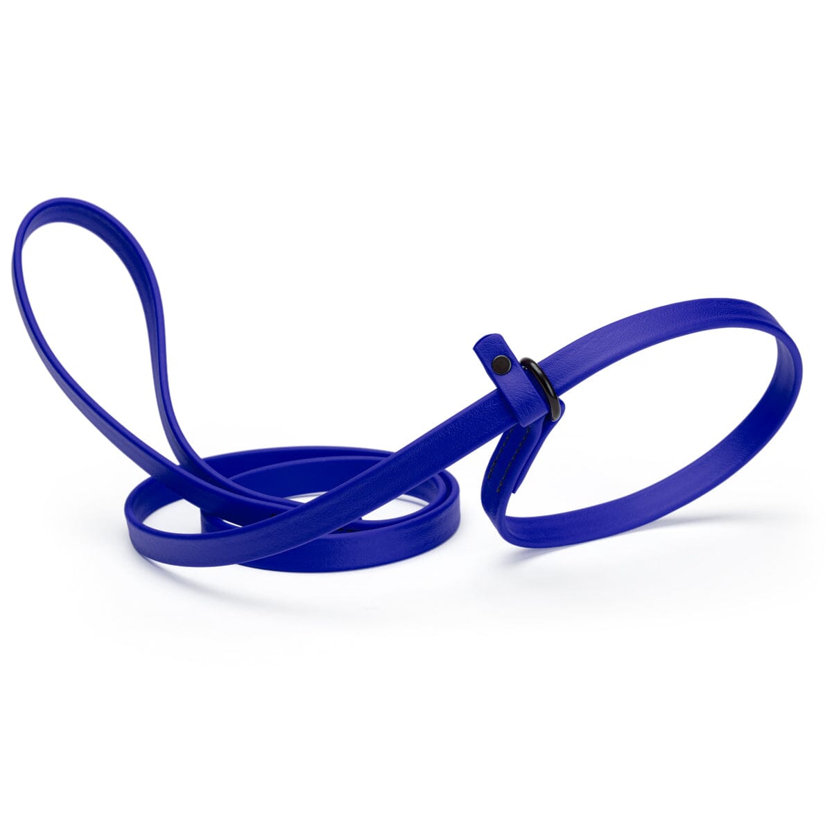 Dogline Biothane Slip Lead