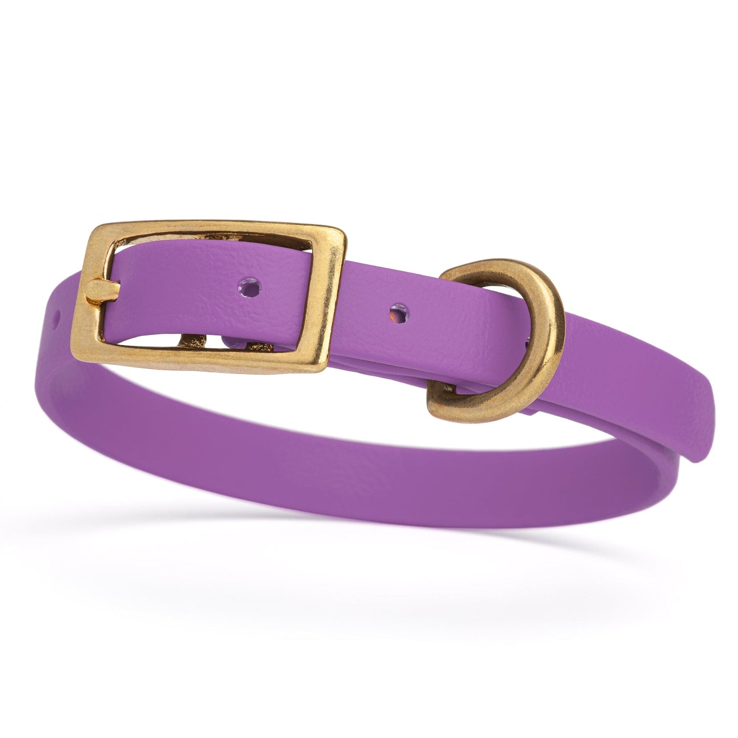 Dogline Viper Biothane Waterproof Dog Collar - Brass Hardware - Size XS (9" - 12")