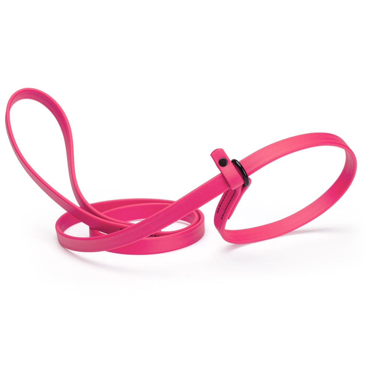 Dogline Biothane Slip Lead
