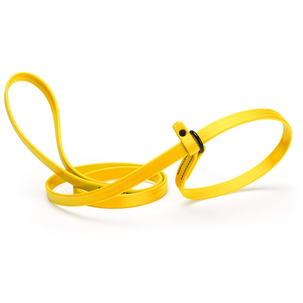 Dogline Biothane Slip Lead