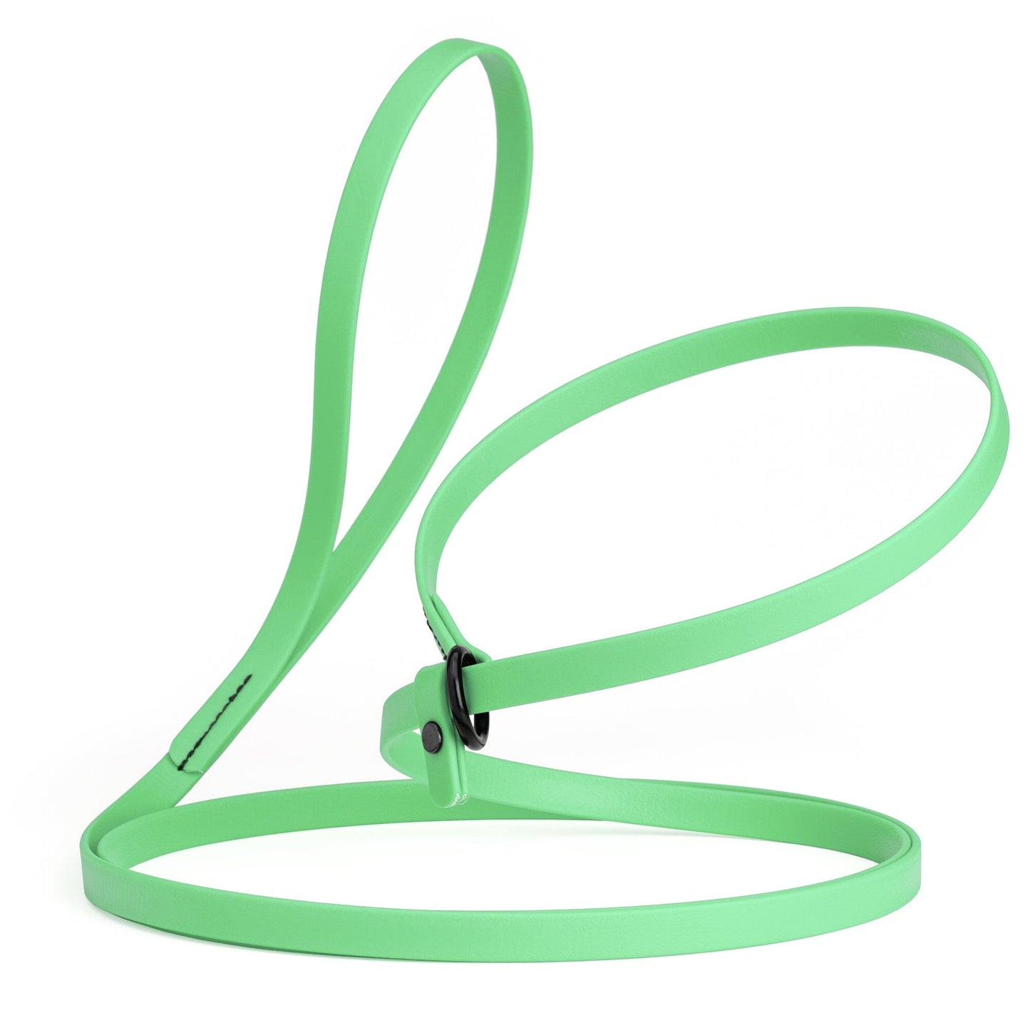 Dogline Biothane Slip Lead
