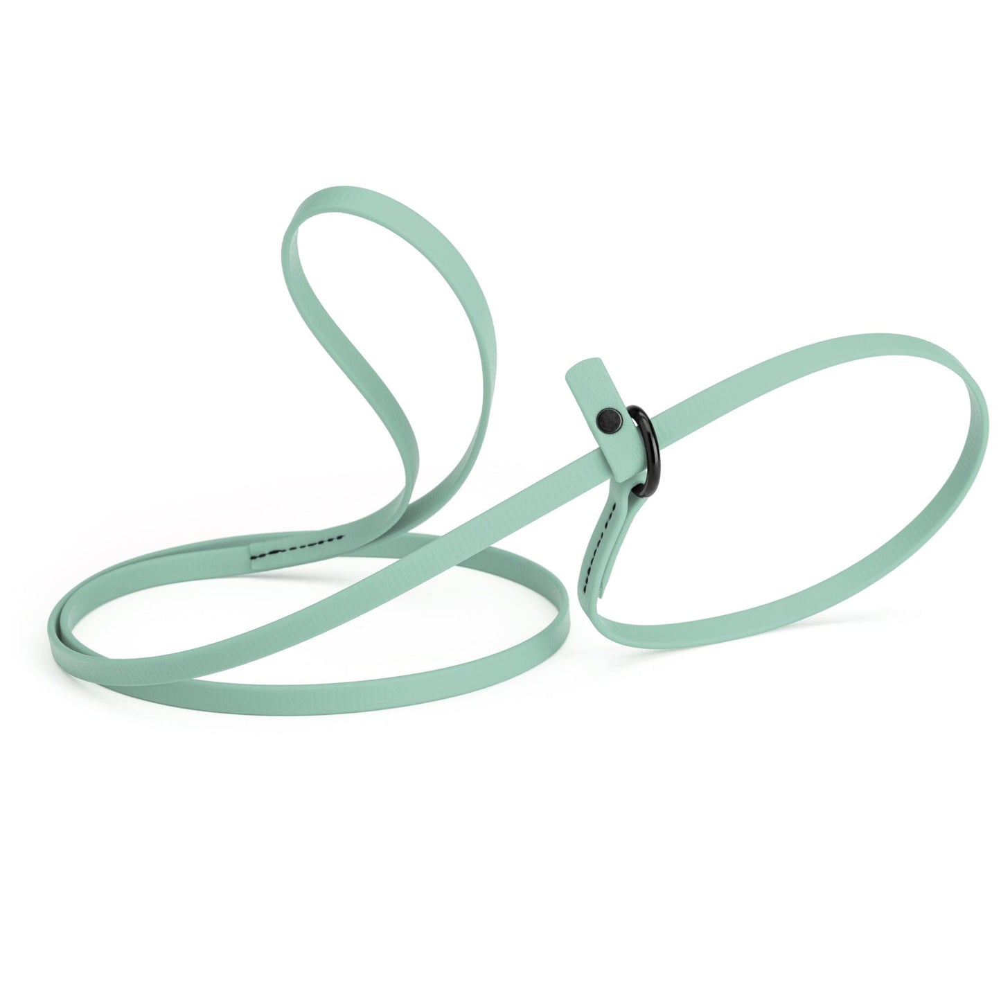 Dogline Biothane Slip Lead