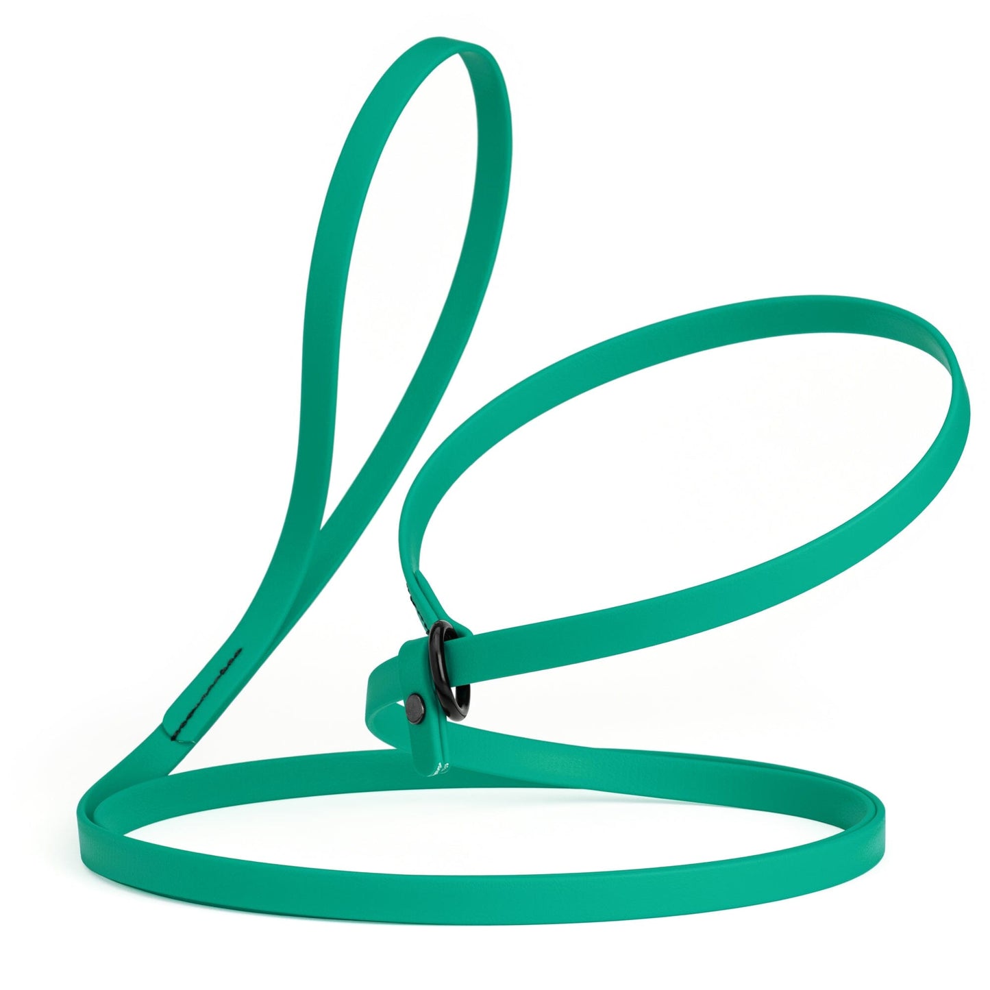 Dogline Biothane Slip Lead