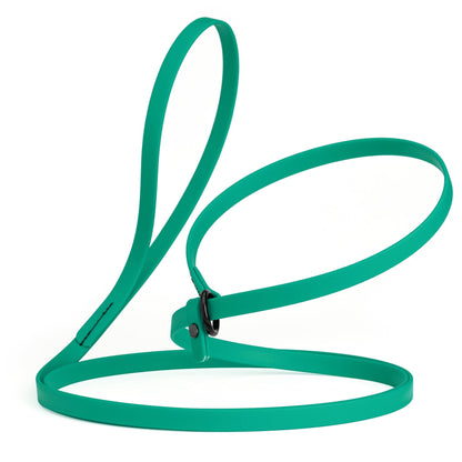 Dogline Biothane Slip Lead