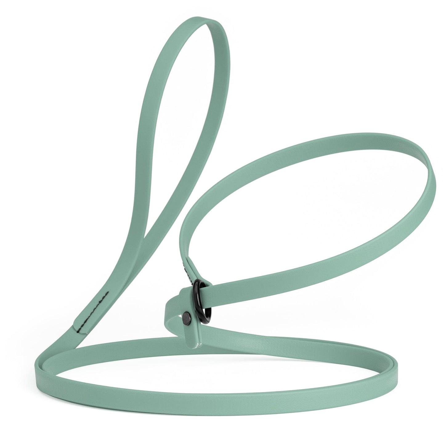 Dogline Biothane Slip Lead