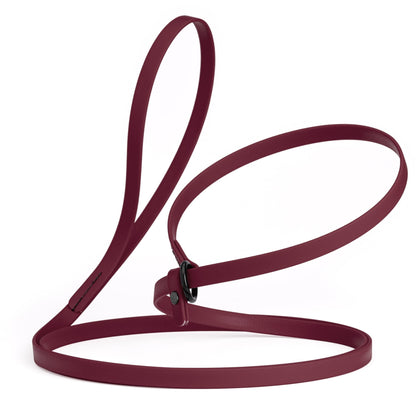 Dogline Biothane Slip Lead