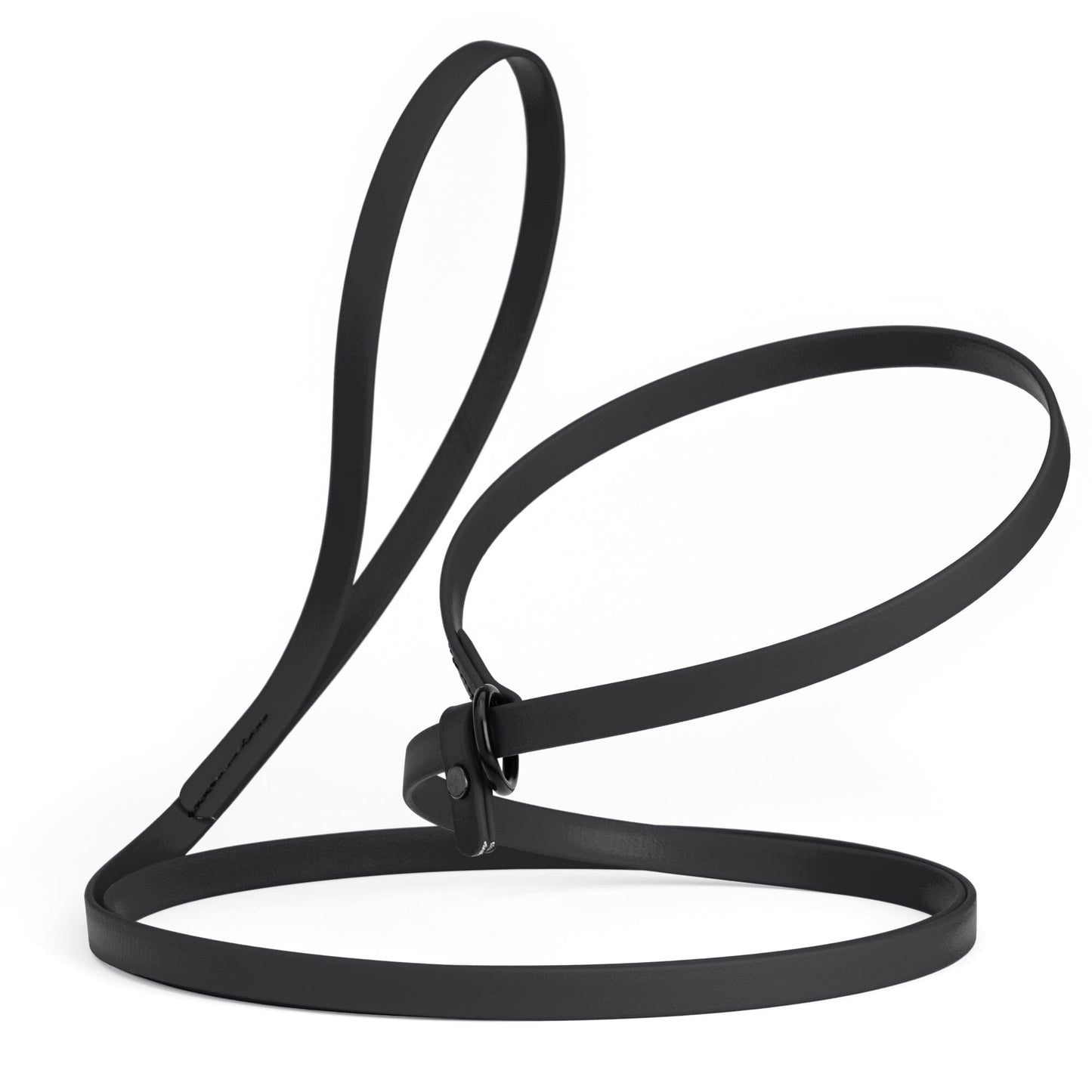 Dogline Biothane Slip Lead