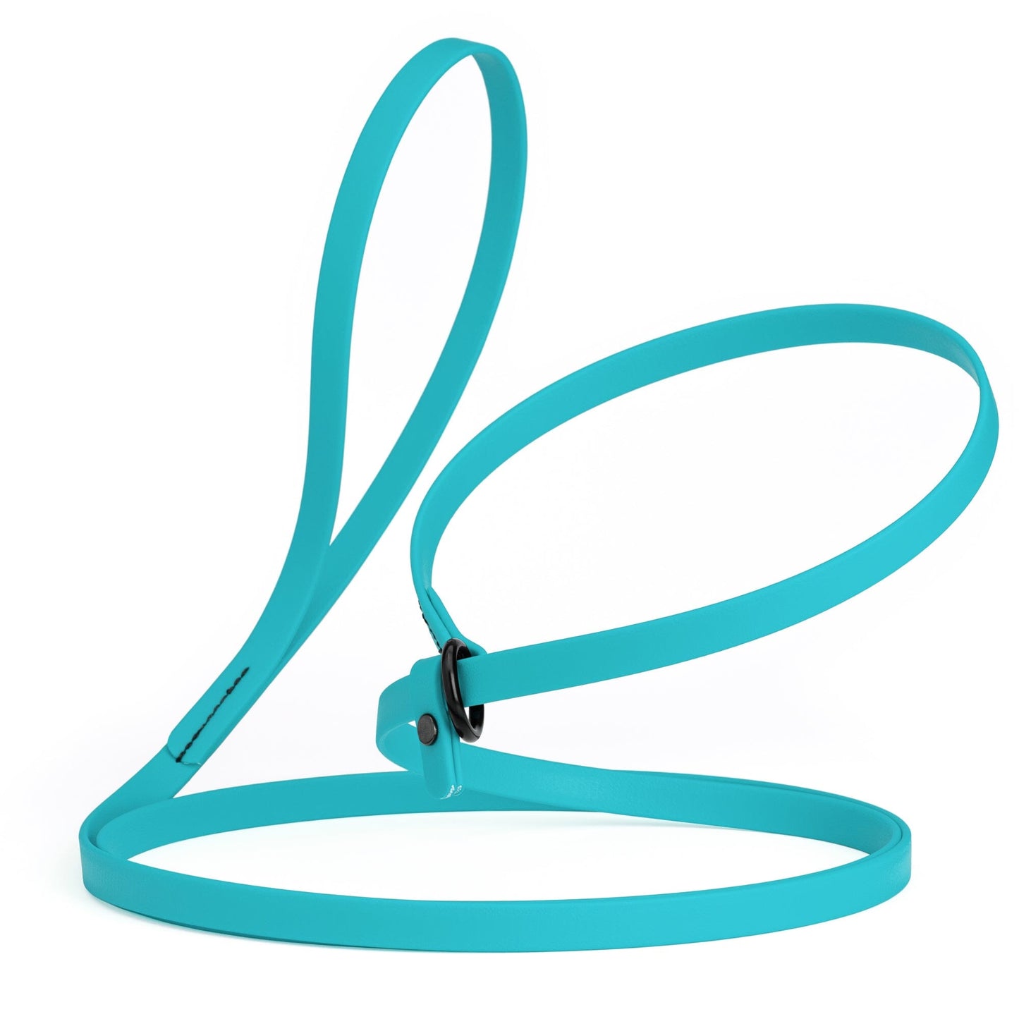 Dogline Biothane Slip Lead