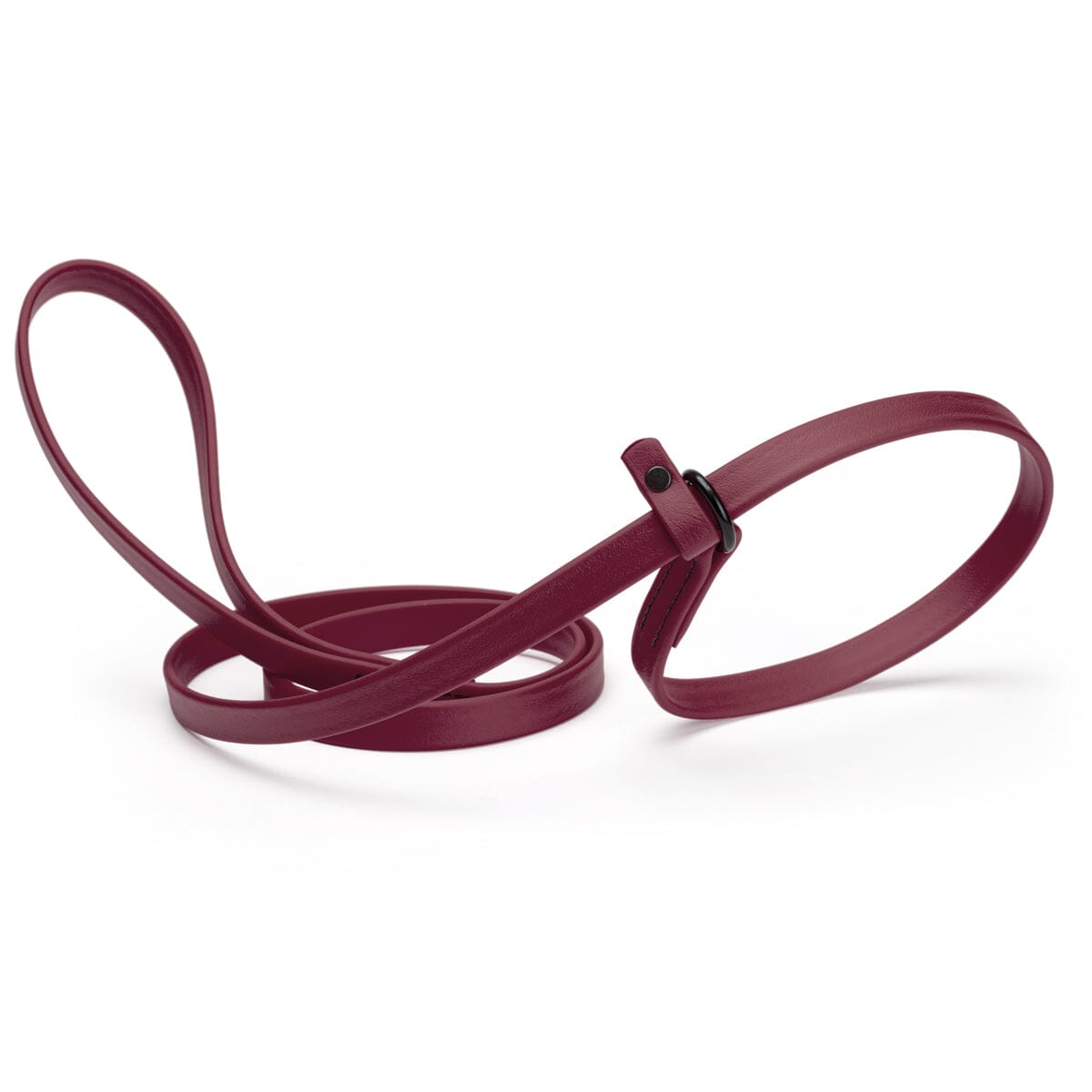 Dogline Biothane Slip Lead