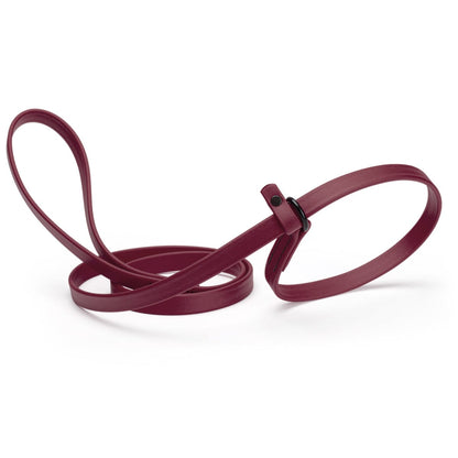 Dogline Biothane Slip Lead