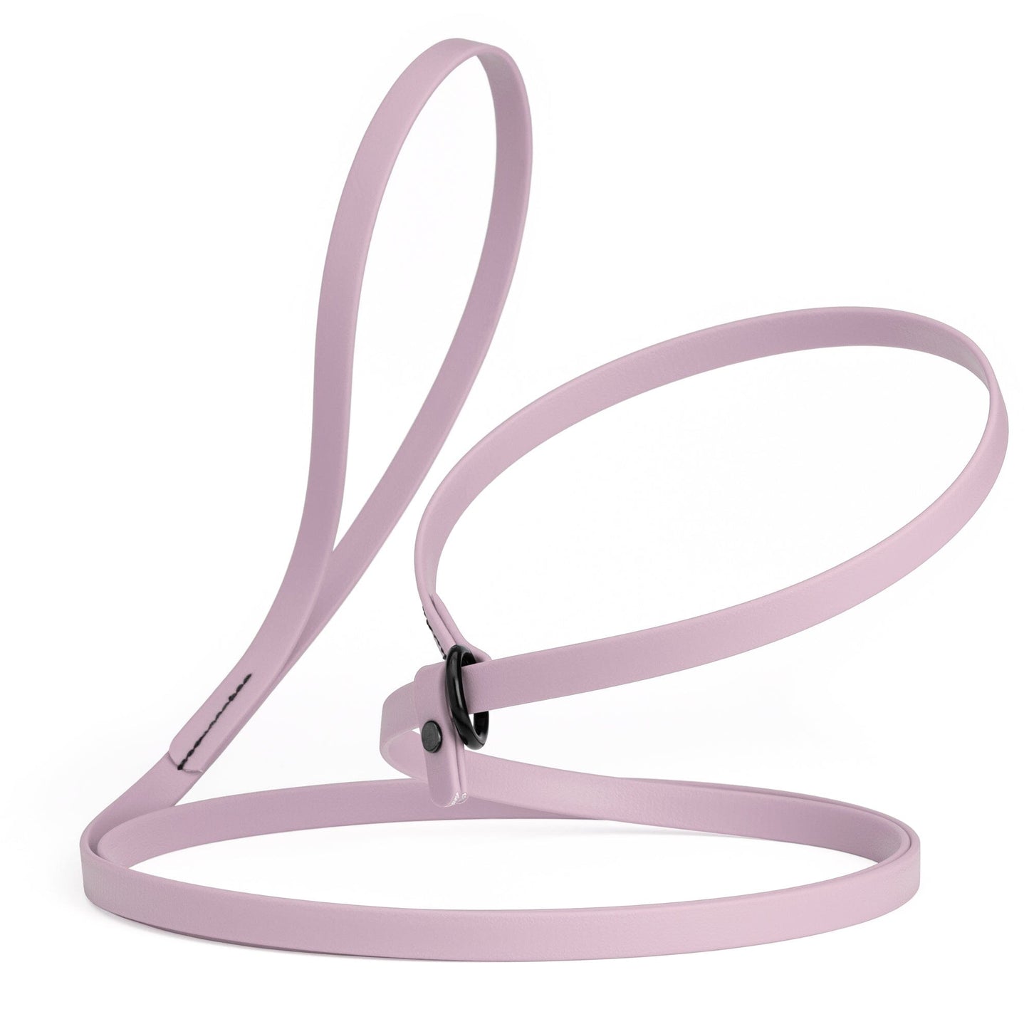 Dogline Biothane Slip Lead