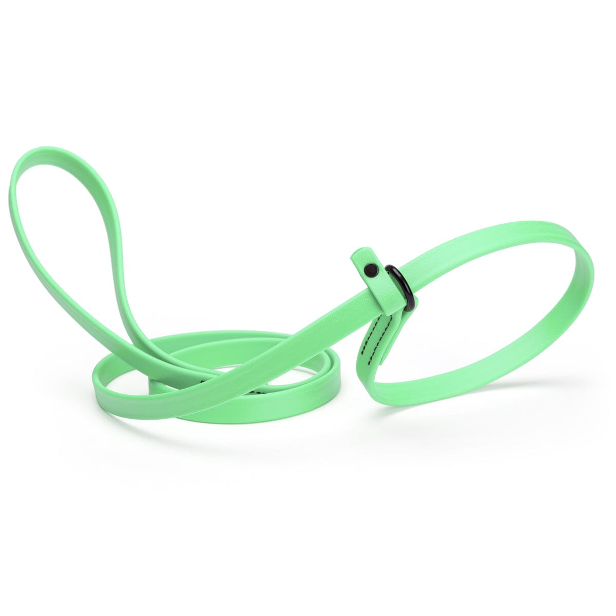 Dogline Biothane Slip Lead