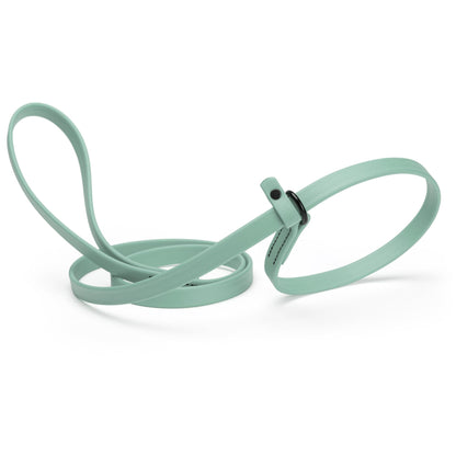 Dogline Biothane Slip Lead