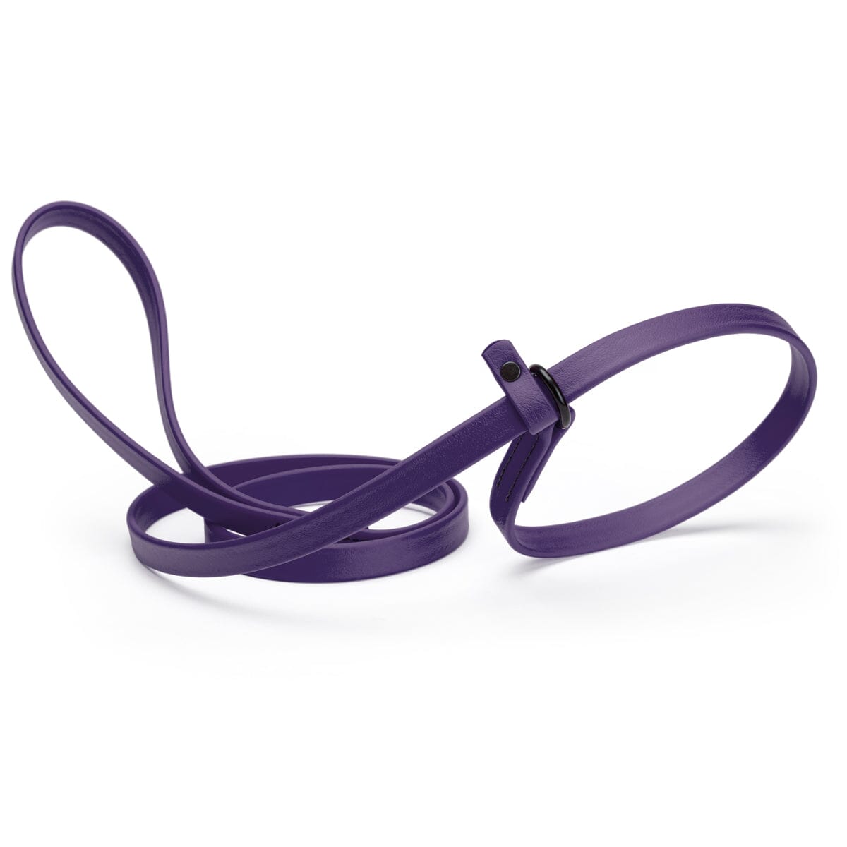 Dogline Biothane Slip Lead