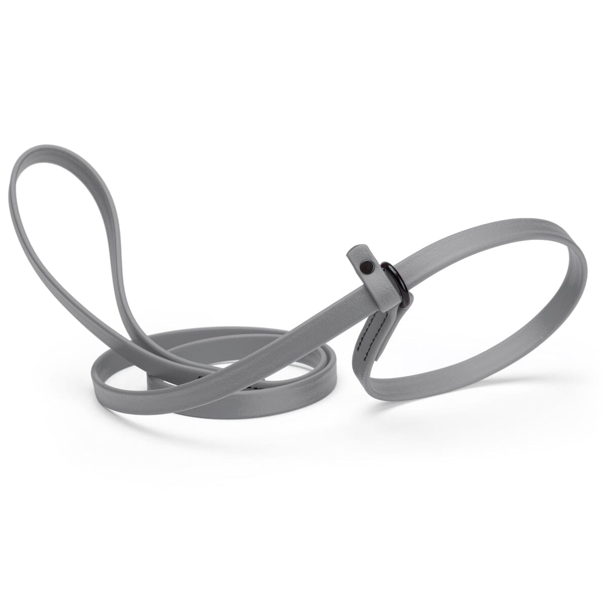 Dogline Biothane Slip Lead