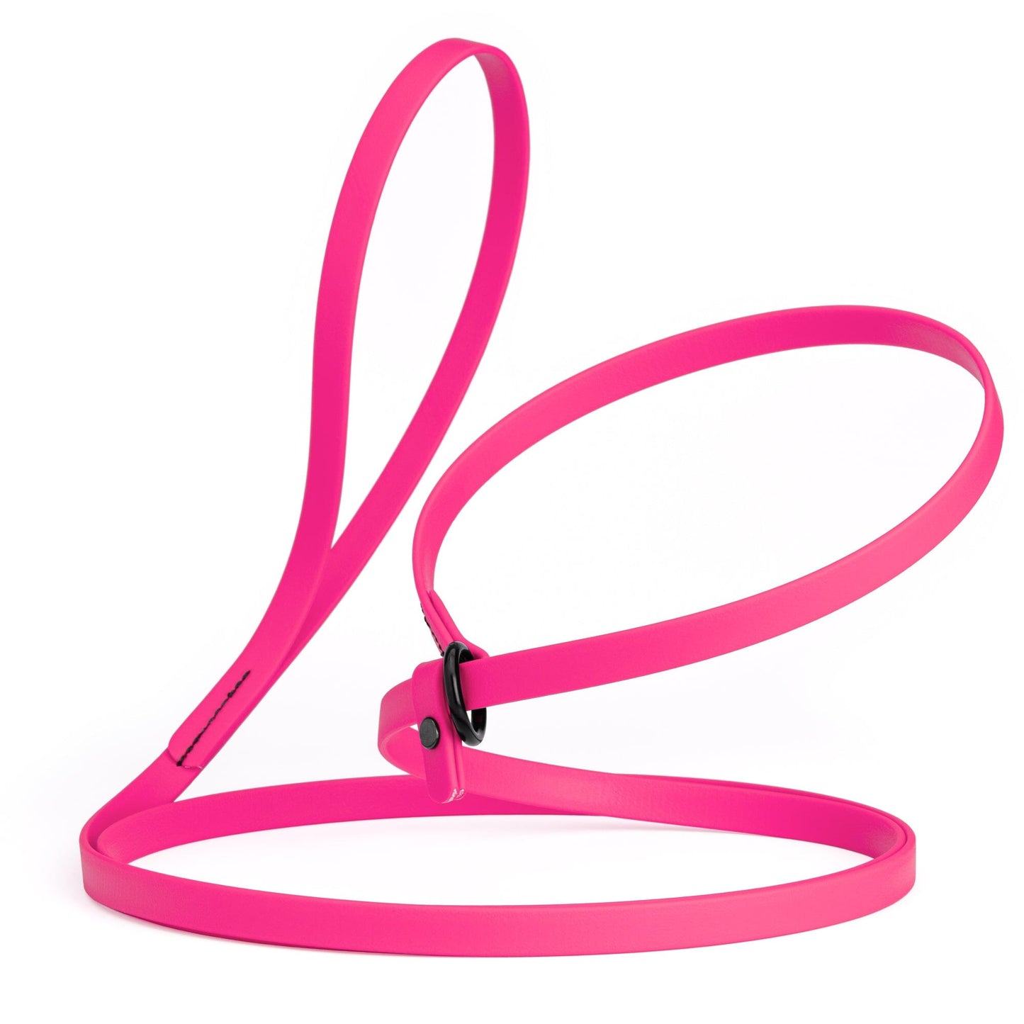 Dogline Biothane Slip Lead