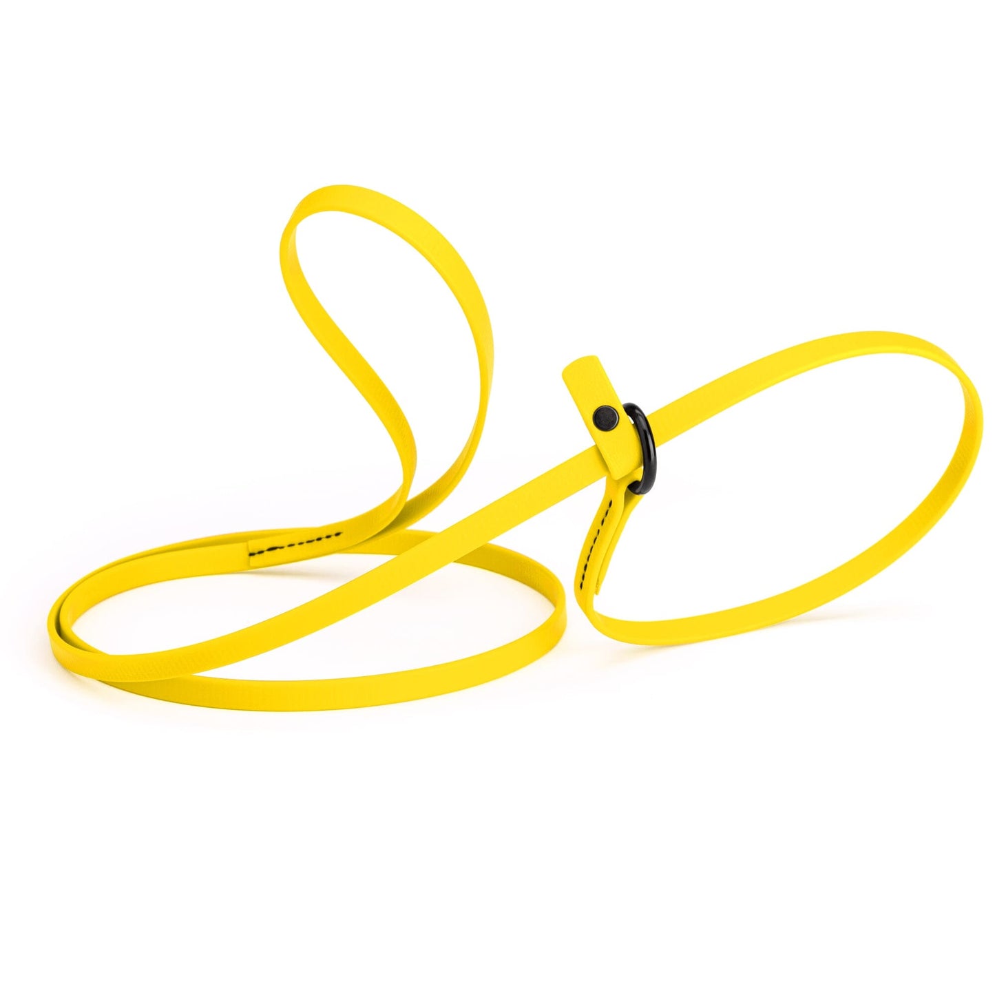 Dogline Biothane Slip Lead