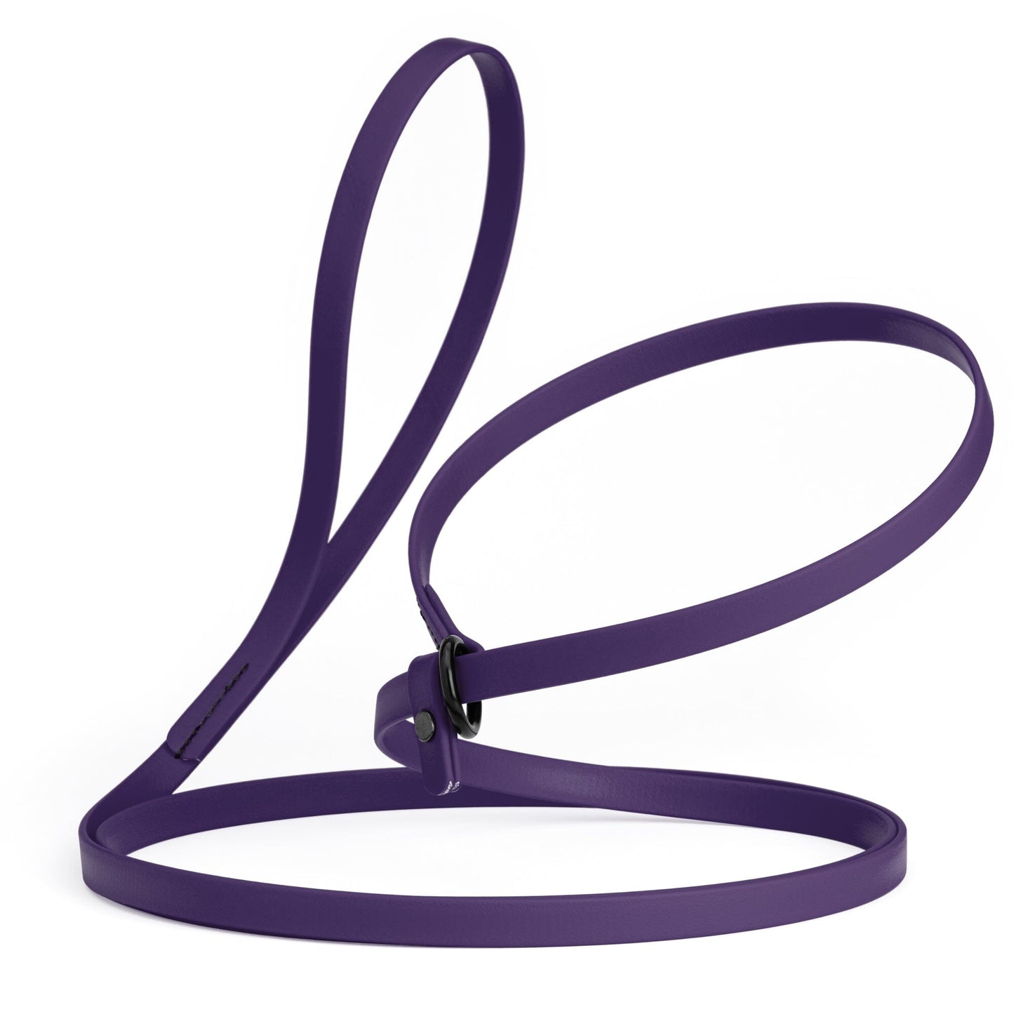 Dogline Biothane Slip Lead