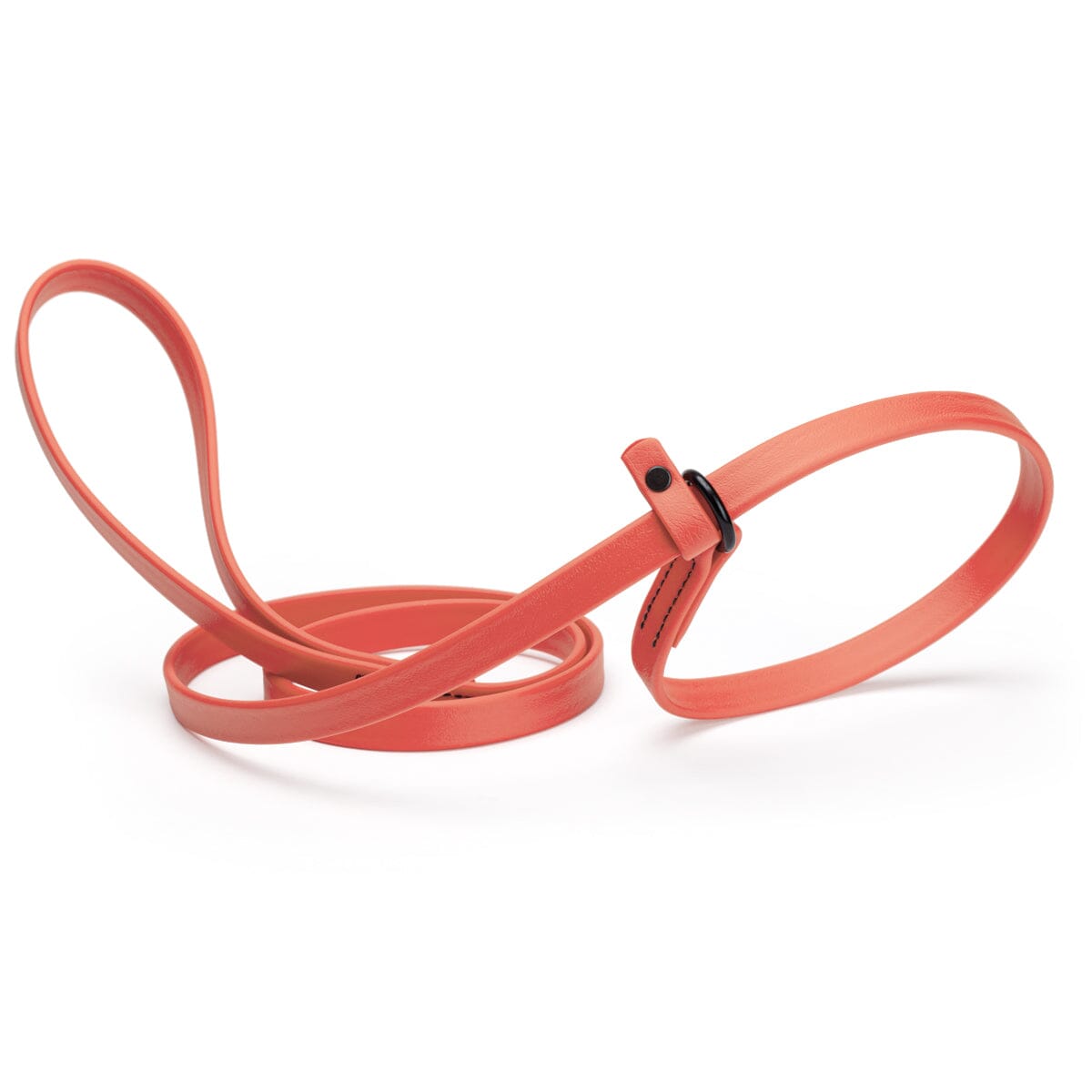 Dogline Biothane Slip Lead