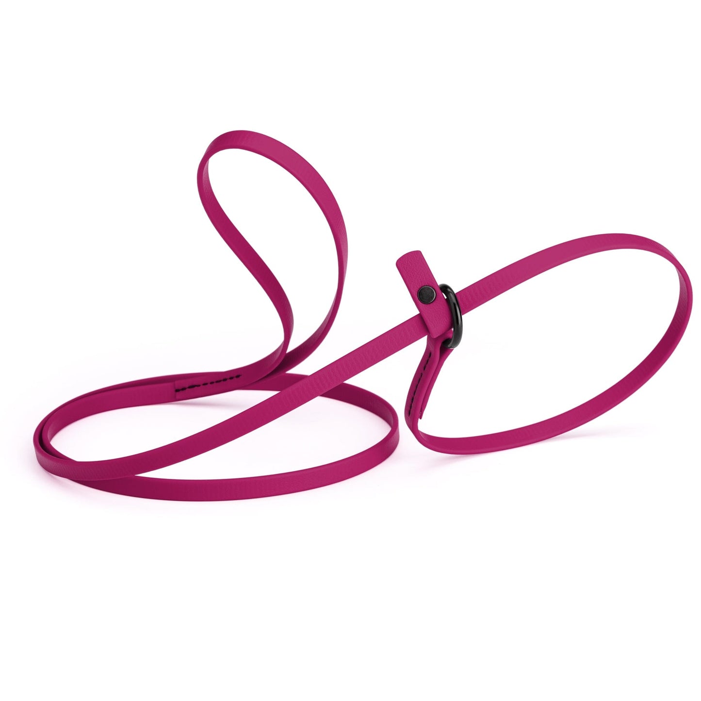 Dogline Biothane Slip Lead