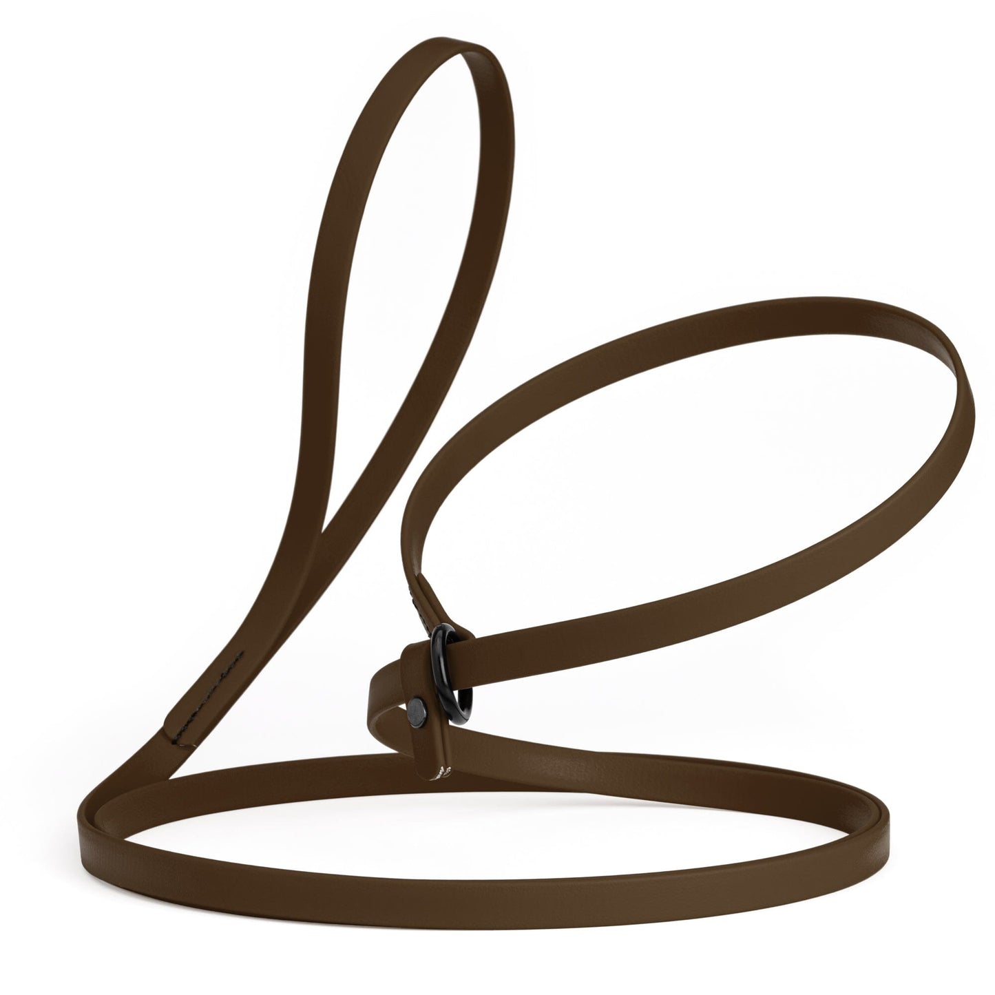 Dogline Biothane Slip Lead