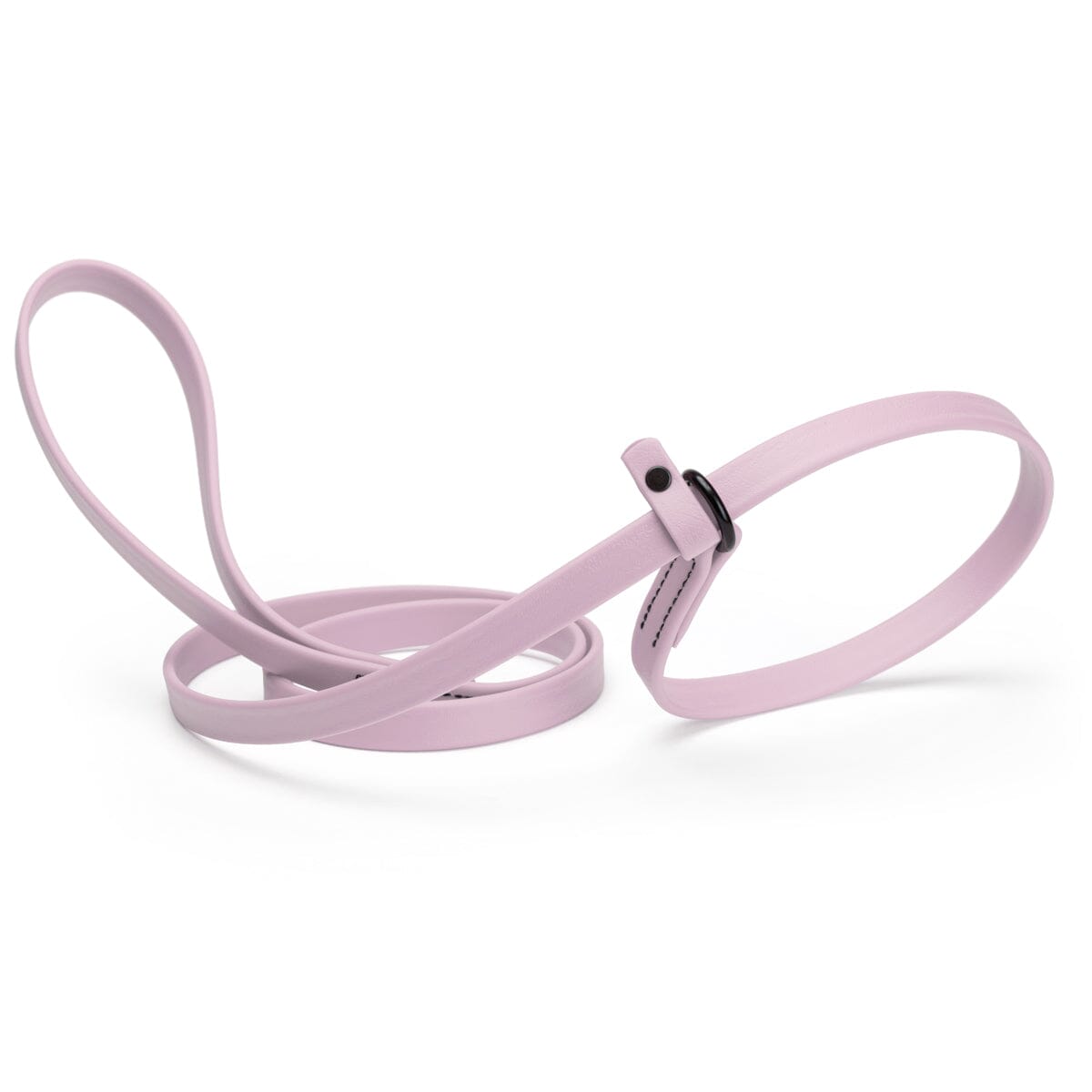 Dogline Biothane Slip Lead
