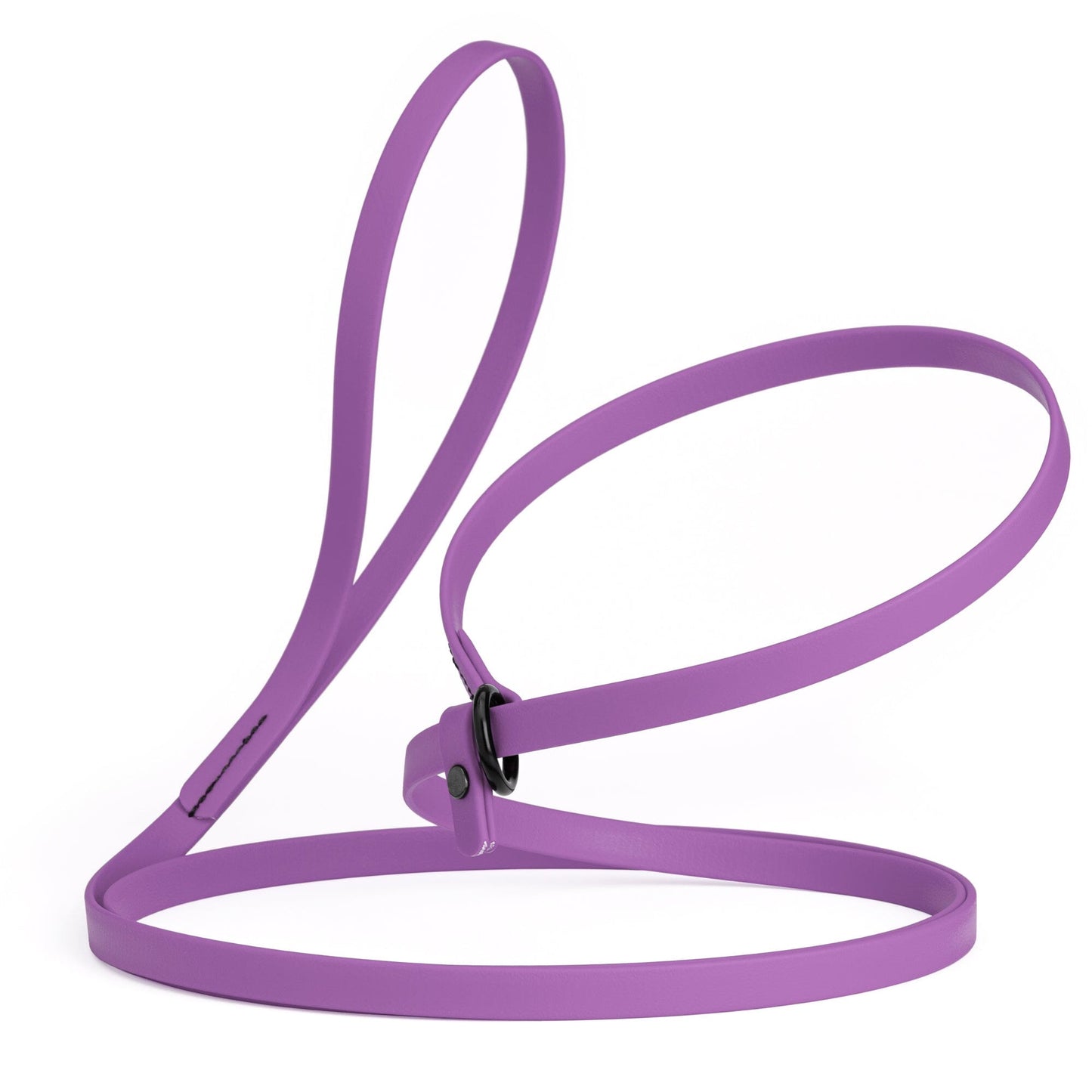Dogline Biothane Slip Lead