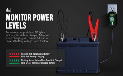Battery Tender Junior 1 AMP 12V Selectable Chemistry Battery Charger and Maintainer