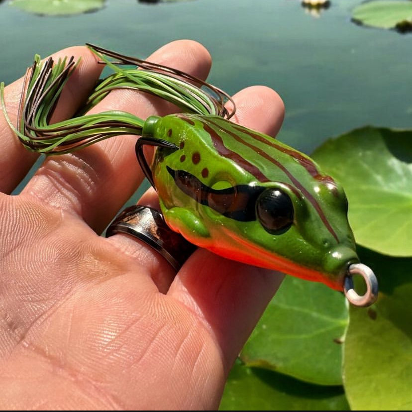 Hendrix Voodoo Frog