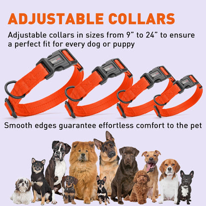 Dogline Nylon Flat Collar