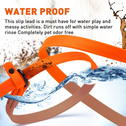 Dogline Biothane Slip Lead