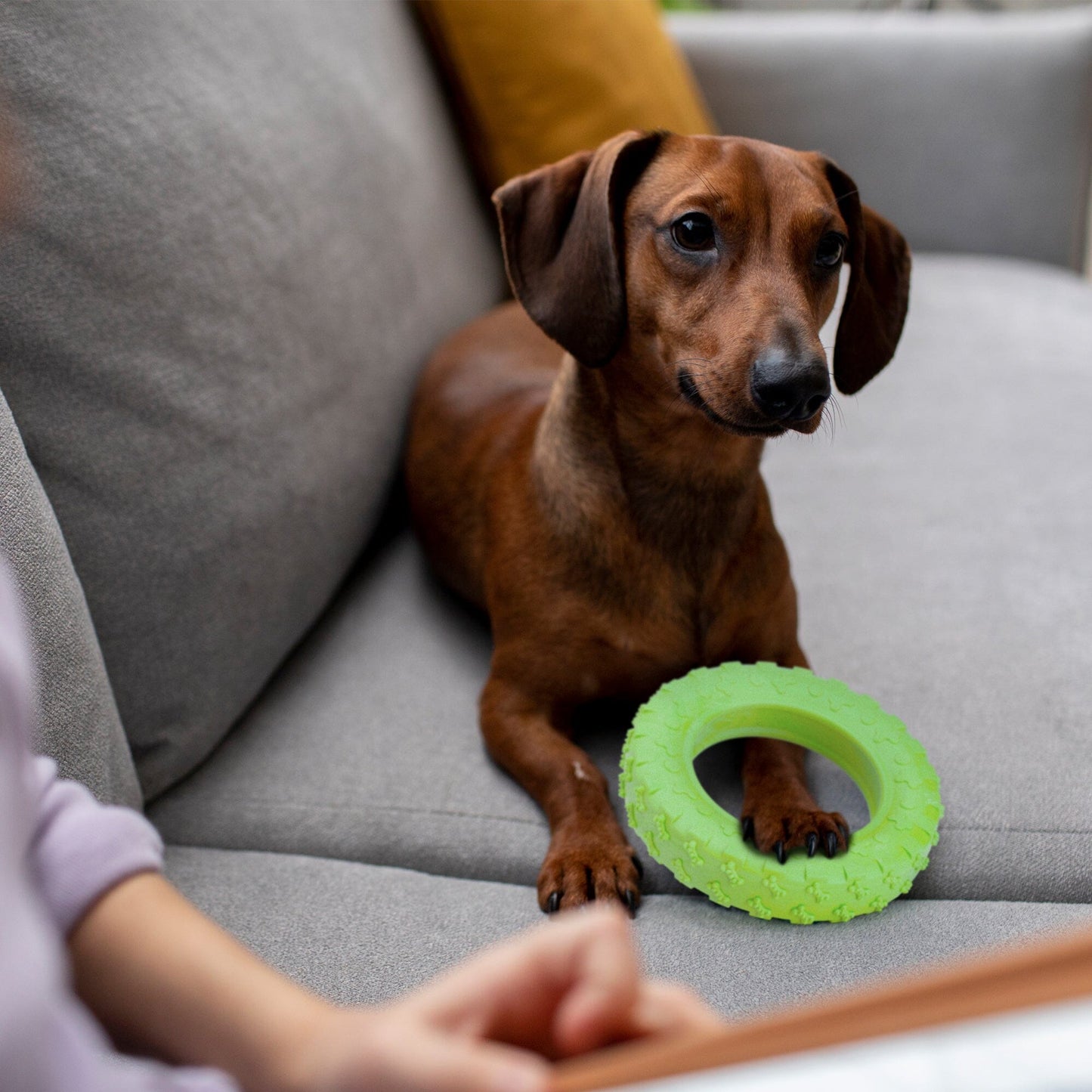 Dogline Rubber Tire Toy