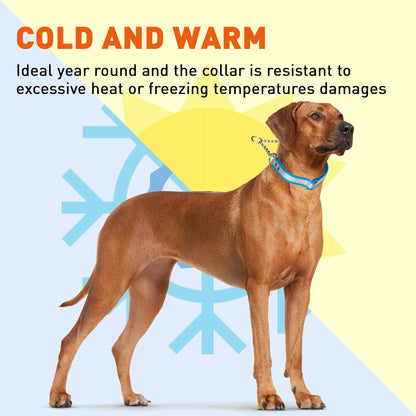 Dogline Reflective Biothane Martingale Collar