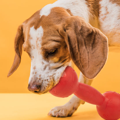 Dogline Rubber Dumbbell Toy