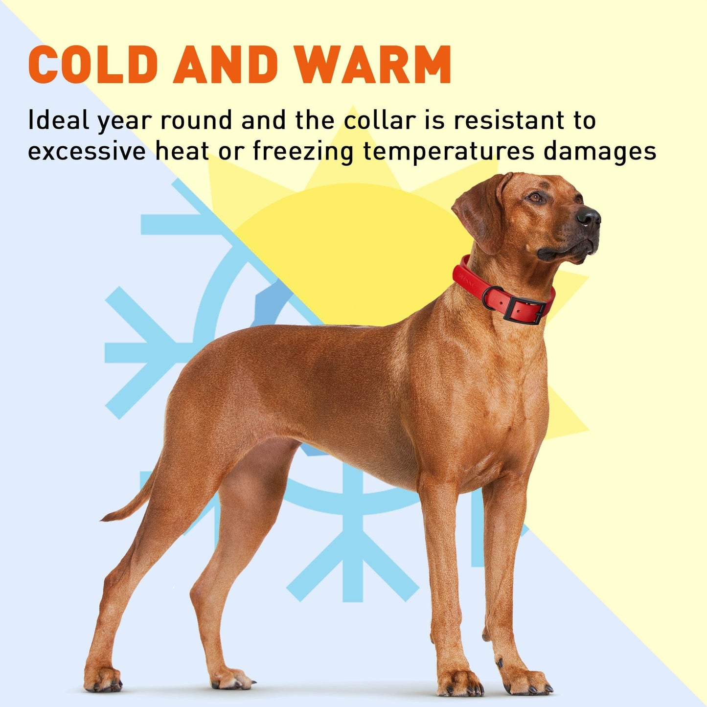 Dogline Biothane Waterproof Collar - X-Small (9 to 12 inches)