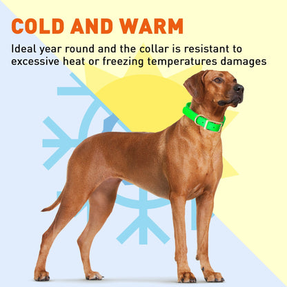 Dogline Viper Biothane Waterproof Dog Collar - Brass Hardware - Size XS (9" - 12")