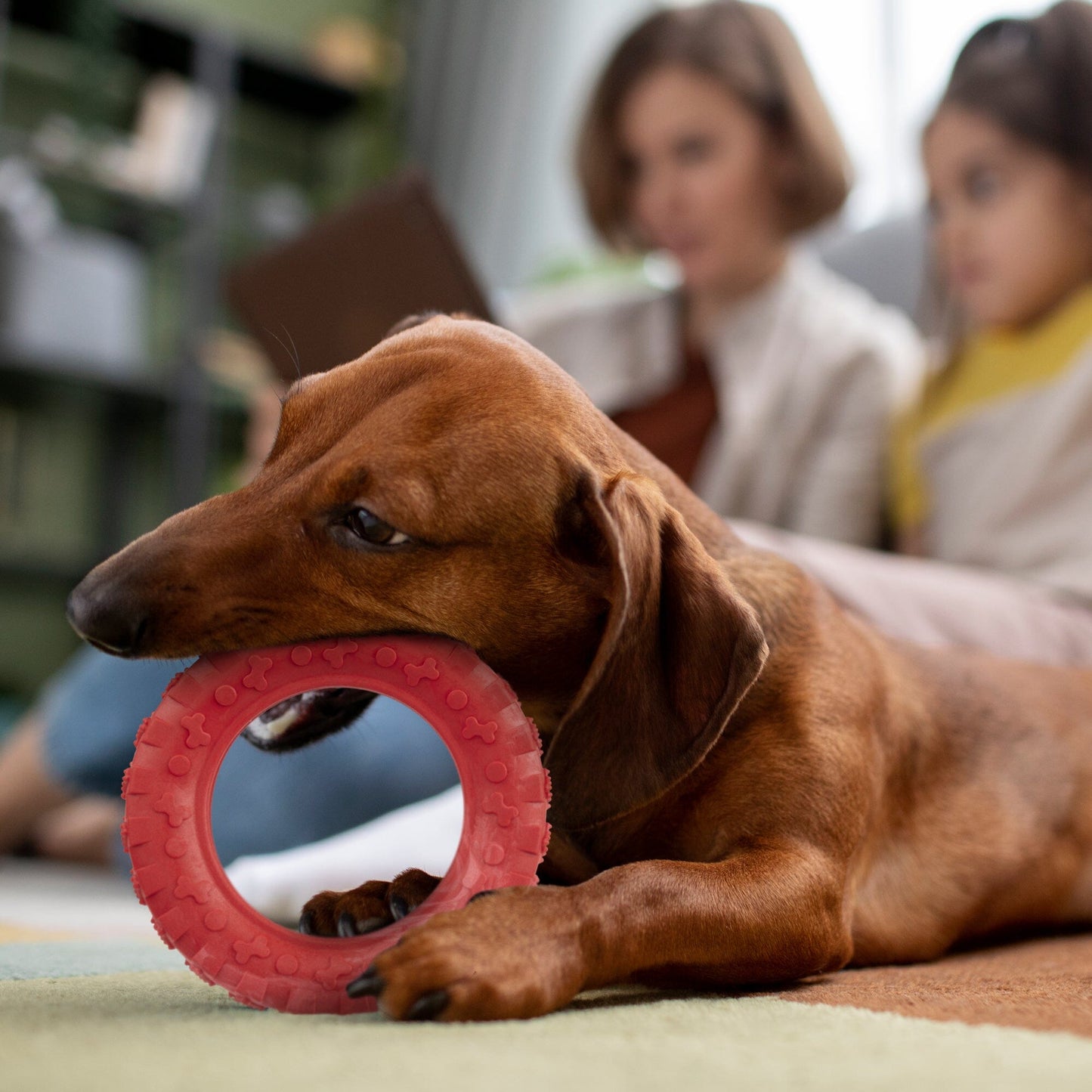Dogline Rubber Tire Toy