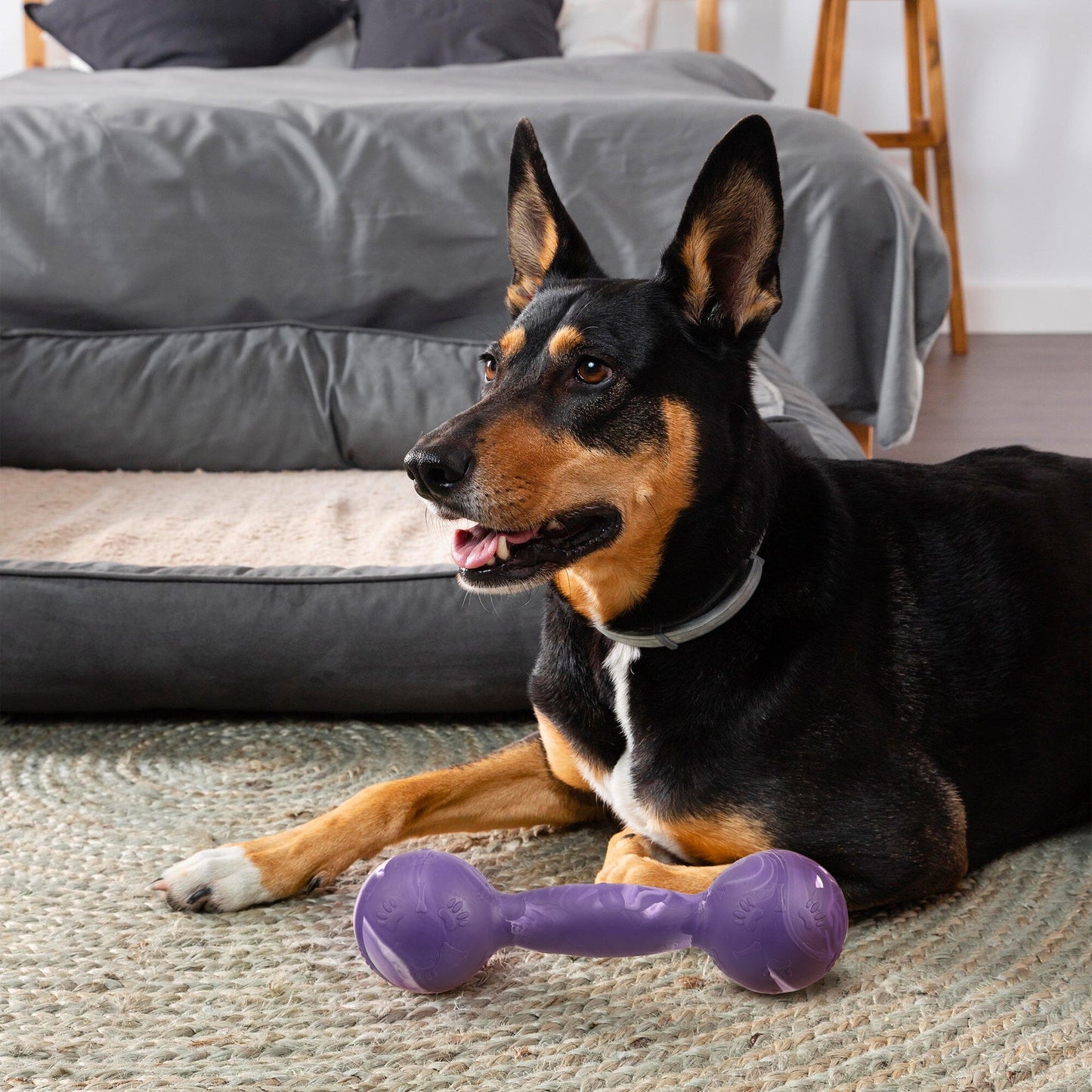 Dogline Rubber Dumbbell Toy