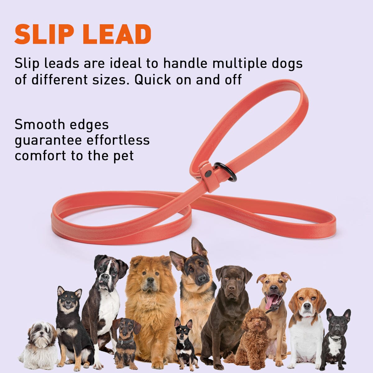 Dogline Biothane Slip Lead